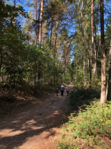 promenade Waldlehrpfad Fürth